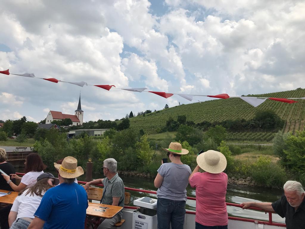 Blick in die Fränkischen Weinberge